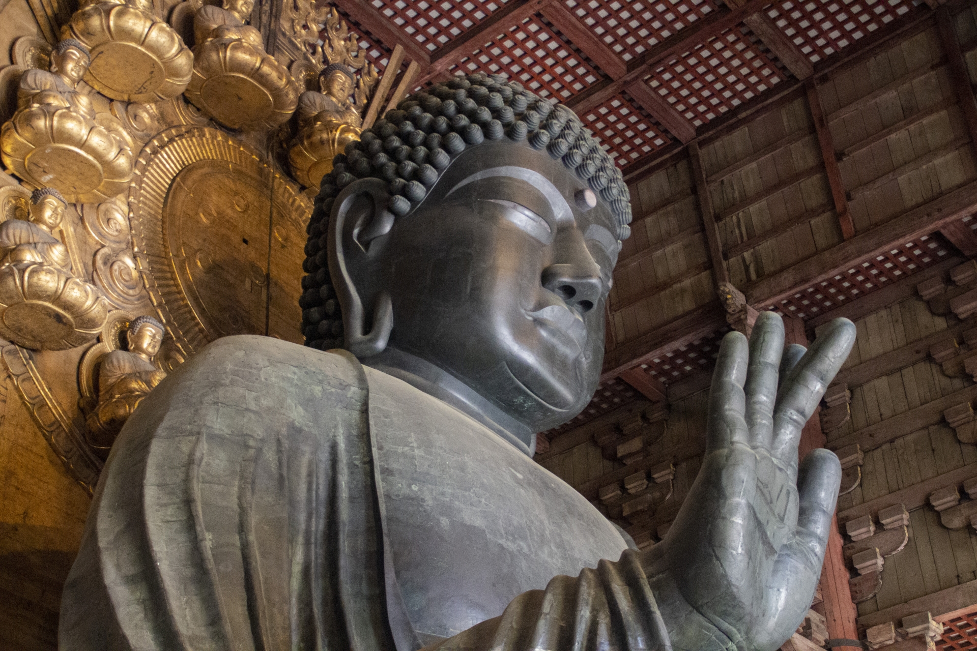 自家製麻辣椒（マーラージョウ）