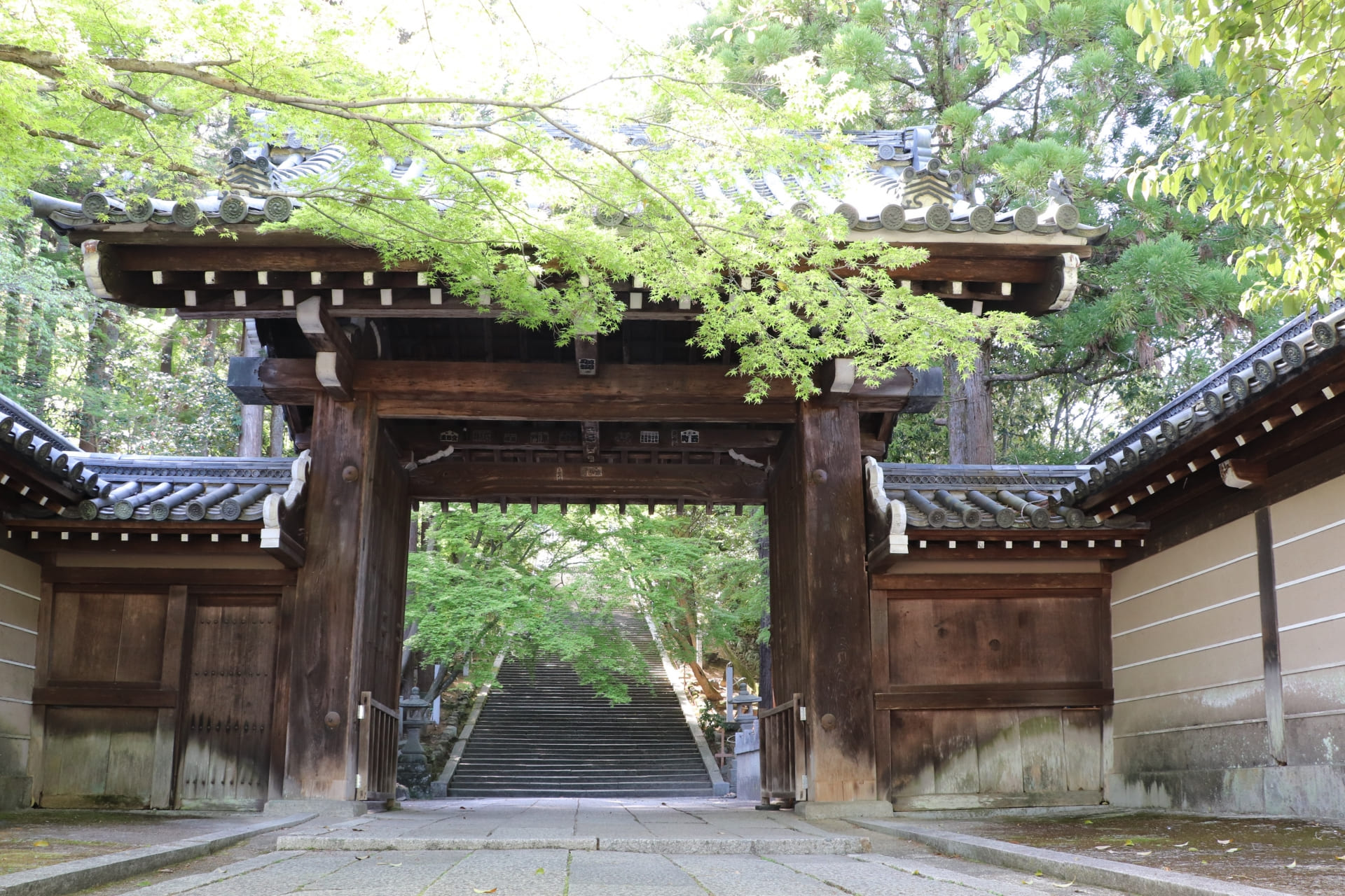 法輪寺（ほうりんじ）［嵐山・電電宮］